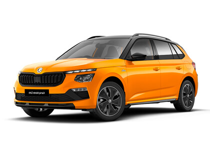Коврики на Skoda Kamiq (Европа) 2019&nbsp;-&nbsp;2026 в Санкт-Петербурге