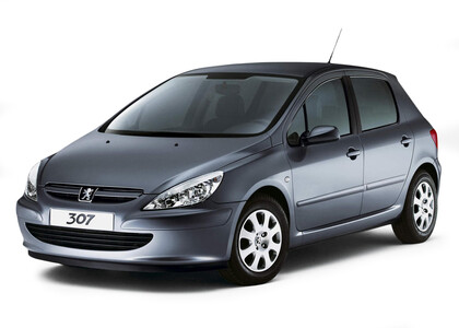 Коврики на Peugeot 307 2001 - 2008 в Санкт-Петербурге