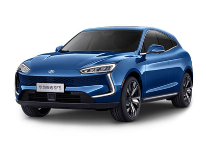 Коврики на Seres SF5 2019&nbsp;-&nbsp;2022 в Санкт-Петербурге