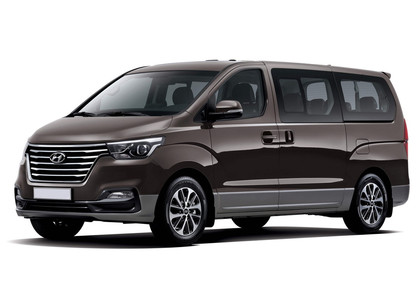Ворсовые коврики на Hyundai H1 II 2007 - 2022 в Санкт-Петербурге