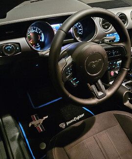 Коврики на Ford Mustang VI 2013&nbsp;-&nbsp;2023 в Санкт-Петербурге